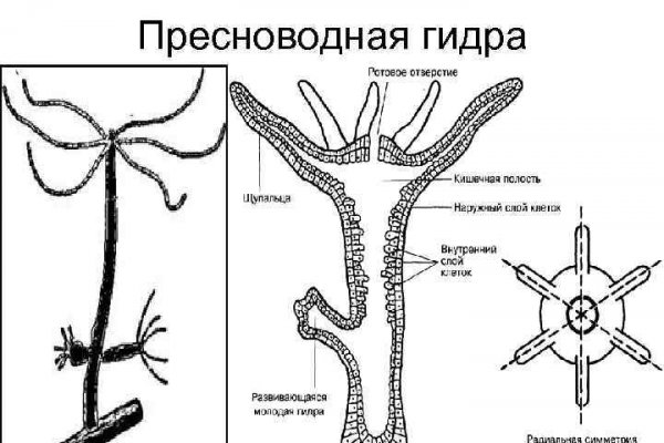 Как заказать на кракене