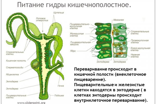 Телеграм канал кракен